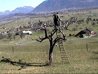 B.A.U.M. © ekk lory