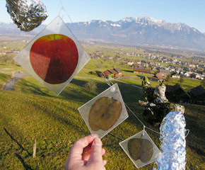 B.A.U.M. © ekk lory